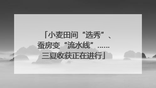 小麦田间“选秀”、蚕房变“流水线”……三夏收获正在进行