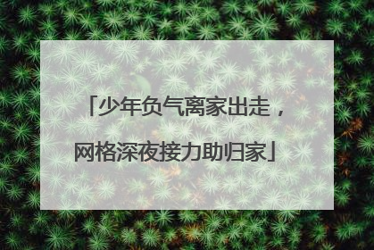 少年负气离家出走，网格深夜接力助归家