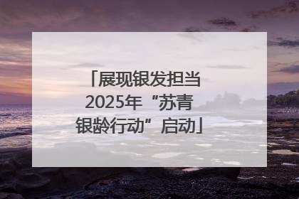 展现银发担当 2025年“苏青银龄行动”启动