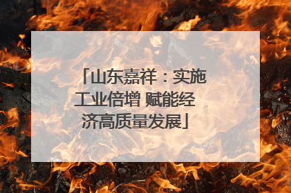 山东嘉祥：实施工业倍增 赋能经济高质量发展
