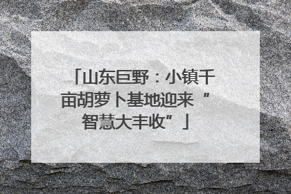 山东巨野：小镇千亩胡萝卜基地迎来“智慧大丰收”
