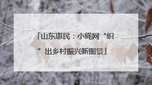 山东惠民：小绳网“织”出乡村振兴新图景