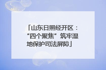 山东日照经开区：“四个聚焦”筑牢湿地保护司法屏障