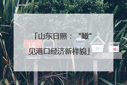 山东日照：“瞰”见港口经济新样貌