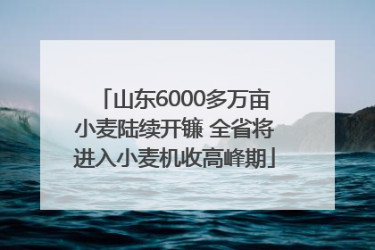 山东6000多万亩小麦陆续开镰 全省将进入小麦机收高峰期