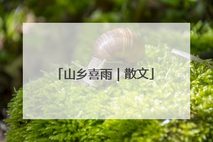 山乡喜雨｜散文