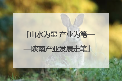 山水为墨 产业为笔——陕南产业发展走笔