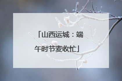 山西运城：端午时节麦收忙