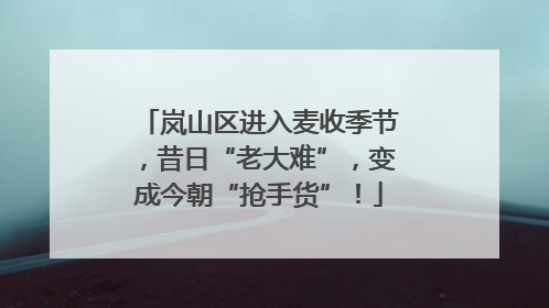 岚山区进入麦收季节，昔日“老大难”，变成今朝“抢手货”！