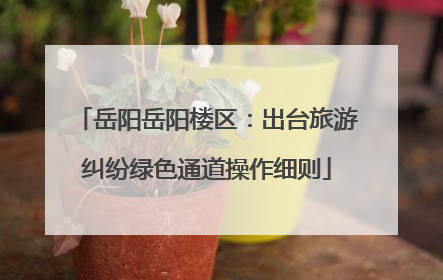 岳阳岳阳楼区：出台旅游纠纷绿色通道操作细则