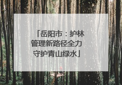 岳阳市：护林管理新路径全力守护青山绿水