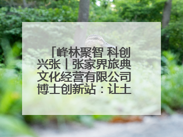 峰林聚智 科创兴张丨张家界旅典文化经营有限公司博士创新站：让土家织锦“智”造出非遗新传奇