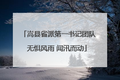 嵩县省派第一书记团队 无惧风雨 闻汛而动