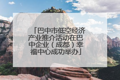 巴中市低空经济产业推介活动在巴中企业（成都）幸福中心成功举办