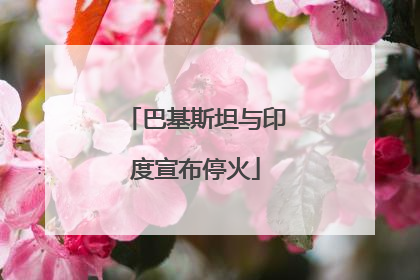 巴基斯坦与印度宣布停火