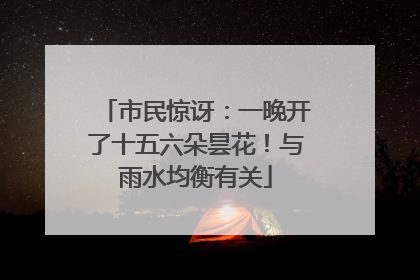 市民惊讶：一晚开了十五六朵昙花！与雨水均衡有关