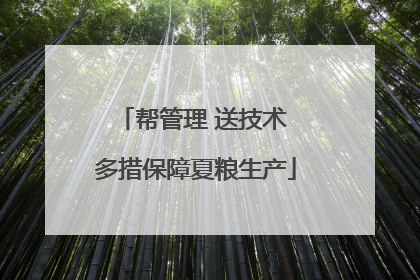 帮管理 送技术 多措保障夏粮生产