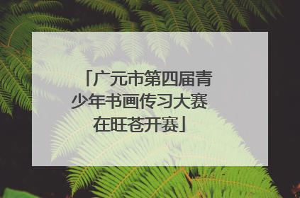 广元市第四届青少年书画传习大赛在旺苍开赛