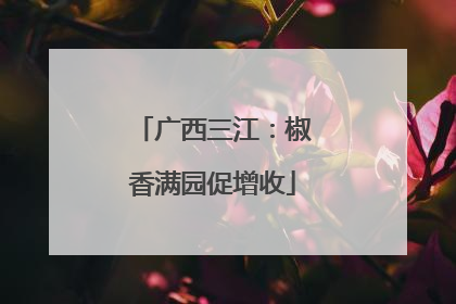 广西三江：椒香满园促增收
