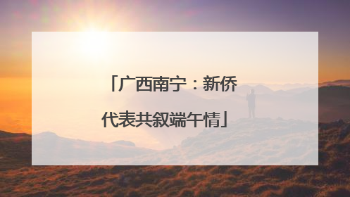 广西南宁：新侨代表共叙端午情
