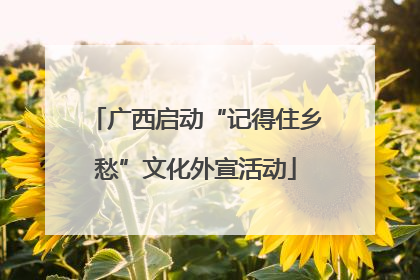 广西启动“记得住乡愁”文化外宣活动