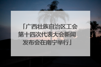广西壮族自治区工会第十四次代表大会新闻发布会在南宁举行