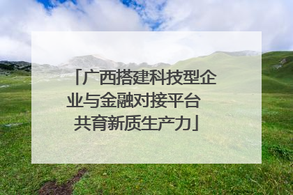 广西搭建科技型企业与金融对接平台 共育新质生产力