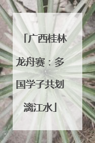 广西桂林龙舟赛：多国学子共划漓江水