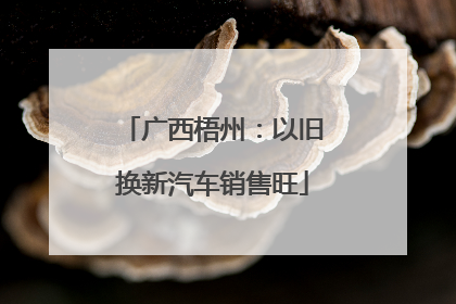 广西梧州：以旧换新汽车销售旺