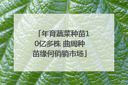 年育蔬菜种苗10亿多株 曲周种苗缘何俏销市场
