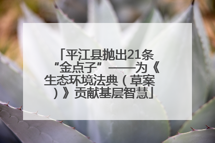 平江县抛出21条“金点子”——为《生态环境法典（草案）》贡献基层智慧