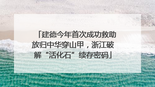 建德今年首次成功救助放归中华穿山甲，浙江破解“活化石”续存密码