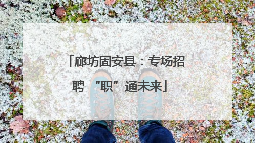 廊坊固安县：专场招聘 “职”通未来
