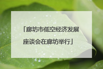 廊坊市低空经济发展座谈会在廊坊举行