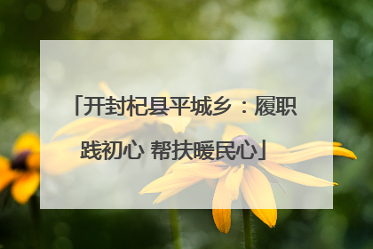 开封杞县平城乡：履职践初心 帮扶暖民心