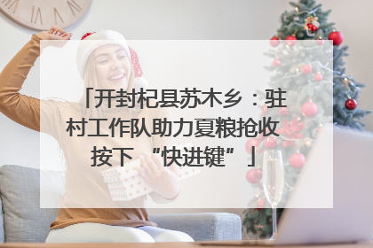 开封杞县苏木乡：驻村工作队助力夏粮抢收按下 “快进键”