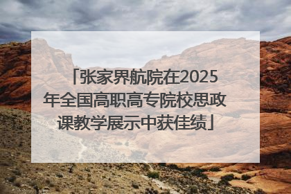 张家界航院在2025年全国高职高专院校思政课教学展示中获佳绩
