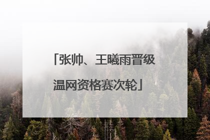张帅、王曦雨晋级温网资格赛次轮