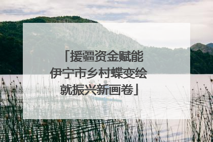 援疆资金赋能 伊宁市乡村蝶变绘就振兴新画卷