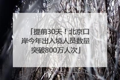 提前30天！北京口岸今年出入境人员数量突破800万人次