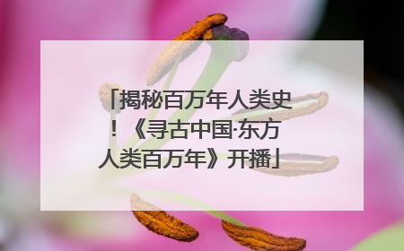 揭秘百万年人类史！《寻古中国·东方人类百万年》开播