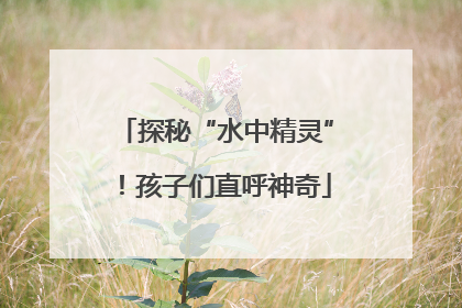 探秘“水中精灵”！孩子们直呼神奇