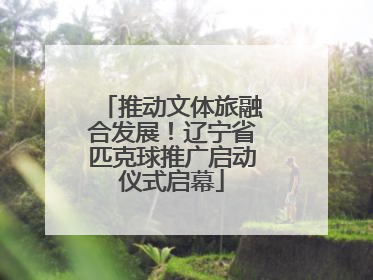 推动文体旅融合发展！辽宁省匹克球推广启动仪式启幕