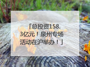 总投资158.3亿元！泉州专场活动在沪举办！