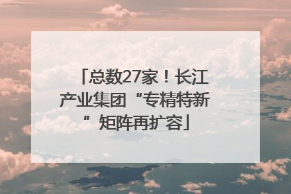 总数27家！长江产业集团“专精特新”矩阵再扩容