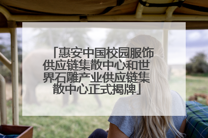 惠安中国校园服饰供应链集散中心和世界石雕产业供应链集散中心正式揭牌