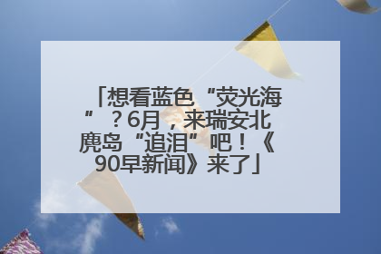 想看蓝色“荧光海”？6月，来瑞安北麂岛“追泪”吧！《90早新闻》来了