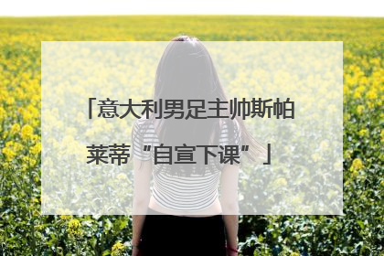 意大利男足主帅斯帕莱蒂“自宣下课”