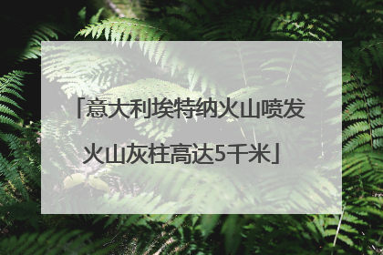 意大利埃特纳火山喷发 火山灰柱高达5千米