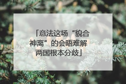 意法这场“貌合神离”的会晤难解两国根本分歧